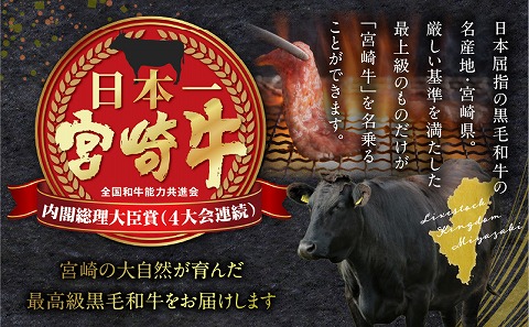 宮崎牛サーロインステーキ&ハンバーグ用ミンチセット 合計1.1kg