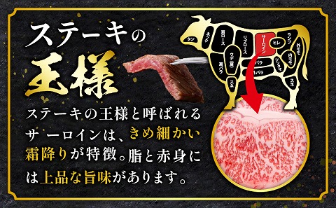 宮崎牛 サーロインステーキ 3枚 合計600g 肉 牛肉 宮崎牛 サーロイン ステーキ ブランド カツレツ 宮崎県 宮崎市