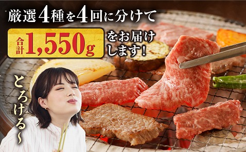 【定期便全4回】宮崎牛づくしコース 宮崎牛 焼肉 牛肉