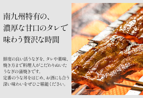 国産うなぎ 蒲焼き 計160g