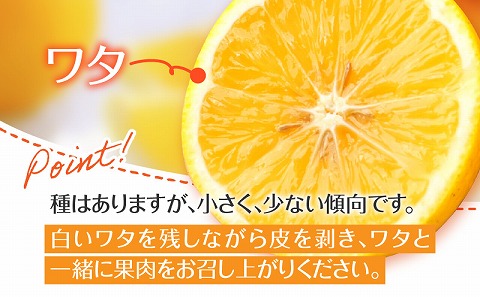 【訳あり】日向夏 6kg＋傷み補償(200g)つき サイズ混合