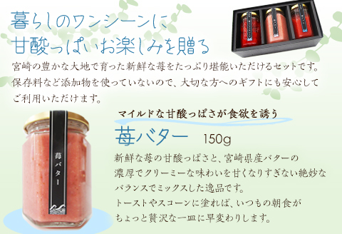 【農福連携】宮崎県産 波乗り苺のギフトセット 3種
