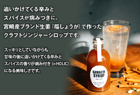 宮崎産ブランド生姜のみを使用 『HOLIC MAKERS』 クラフトジンジャーシロップ 300ml×2本