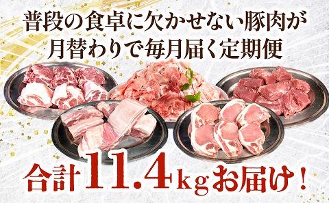 【全5回】豚肉定期便 バラ ロース 切り落とし ヒレ 肩ロース