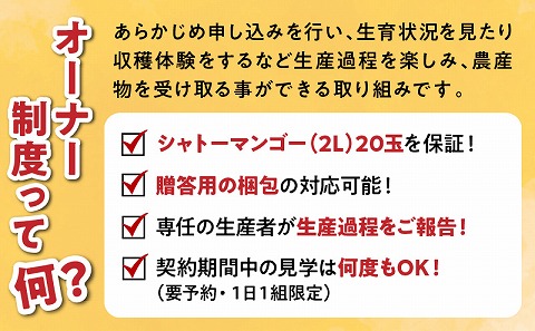 シャトーマンゴー／マンゴーの木オーナー制度【プレミアム】