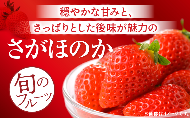 《2026年発送》【数量・期間限定】宮崎県産さがほのか 約1kg いちご 苺 フルーツ