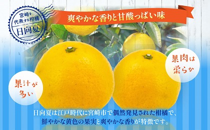 日向夏　お試しセット3kg