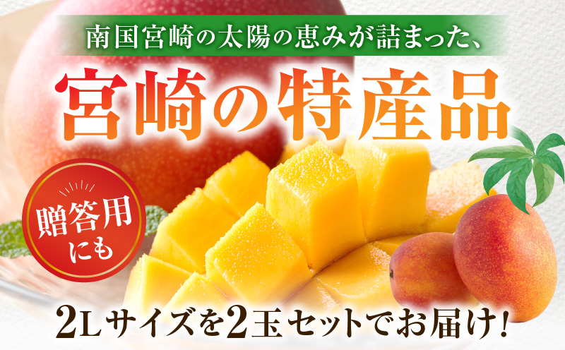 《2026年発送先行予約》【数量・期間限定】宮崎特産品 宮崎県産完熟マンゴー 2L×2玉 マンゴー 完熟マンゴー 完熟 果物 フルーツ デザート スイーツ 果肉 濃厚な甘み 南国フルーツ 特産品 名物 ご当地グルメ グルメ お取り寄せ 宮崎県 宮崎市