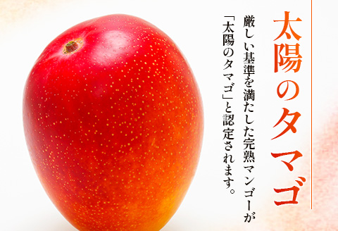 《2026年発送先行予約》【数量・期間限定】宮崎特産品 宮崎県産完熟マンゴー 太陽のタマゴ 2L×1玉 マンゴー フルーツ 完熟