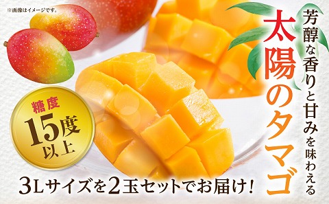 《2026年発送先行予約》【数量・期間限定】宮崎特産品 宮崎県産完熟マンゴー 太陽のタマゴ 3L×2玉 マンゴー 完熟 フルーツ 宮崎マンゴー 果物