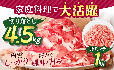 宮崎県産豚肉 切り落とし＆ミンチセット5.5kg 国産 小分け スライス 豚ミンチ