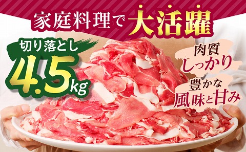 宮崎県産豚肉 切り落とし4.5kg スライス 小分け 国産