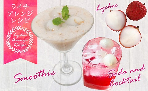 《2026年発送先行予約》【数量・期間限定】宮崎完熟ライチ化粧箱PREMIUMギフト 南国 濃厚 甘い