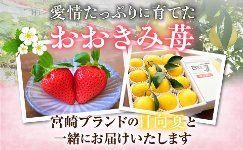 《2026年発送》【数量・期間限定】宮崎冬物語HOKUSAIGIFT紅苺＋種無し日向夏 苺 いちご イチゴ おおきみ苺 おおきみいちご 日向夏 柑橘類 柑橘 果物 くだもの フルーツ ギフト 贈り物