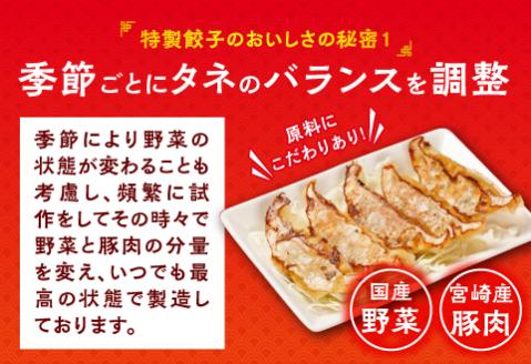 悠瑠里特製餃子120個
