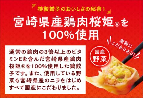 悠瑠里特製鶏餃子120個