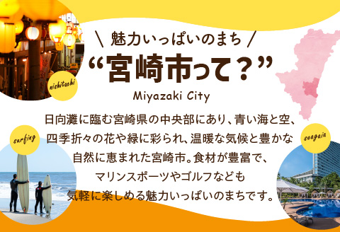 宮崎県宮崎市の対象ツアーに使えるHISふるさと納税クーポン 寄附額500000円