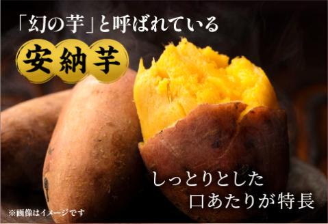 安納石焼芋　10袋セット