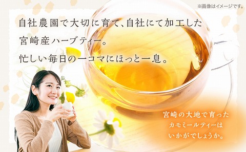 カモミールティー　30パック×2袋セット