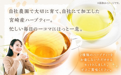 モリンガ茶30パック　カモミールティー30パック　2袋セット