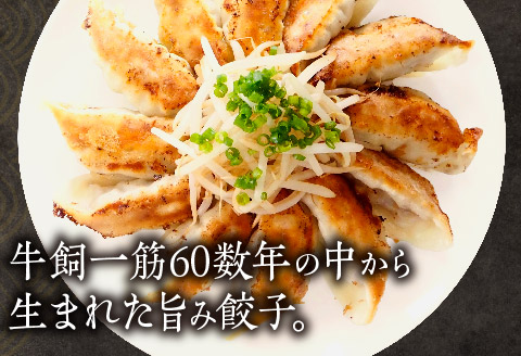 牧場育ち 牛肉100％旨み餃子（餃子12個パック×5）