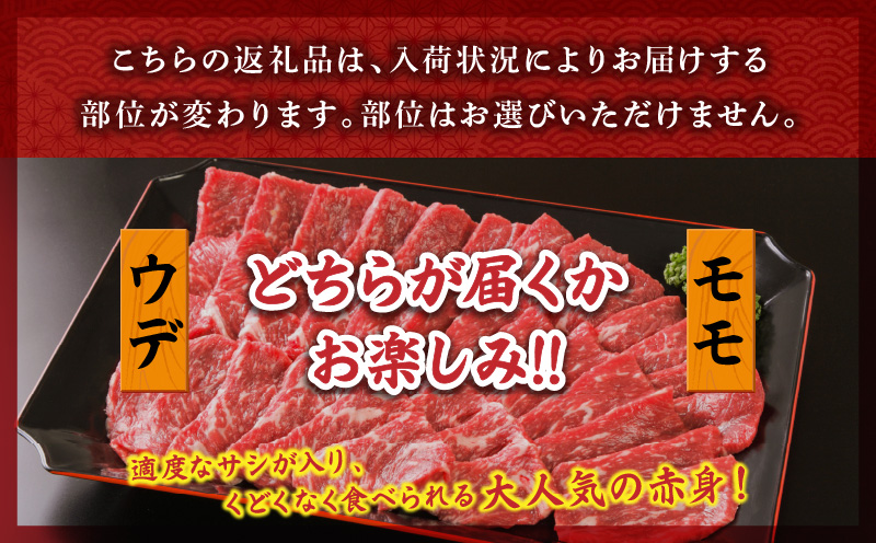 宮崎牛 モモ or ウデ 赤身焼肉500g 宮崎牛 赤身 焼肉