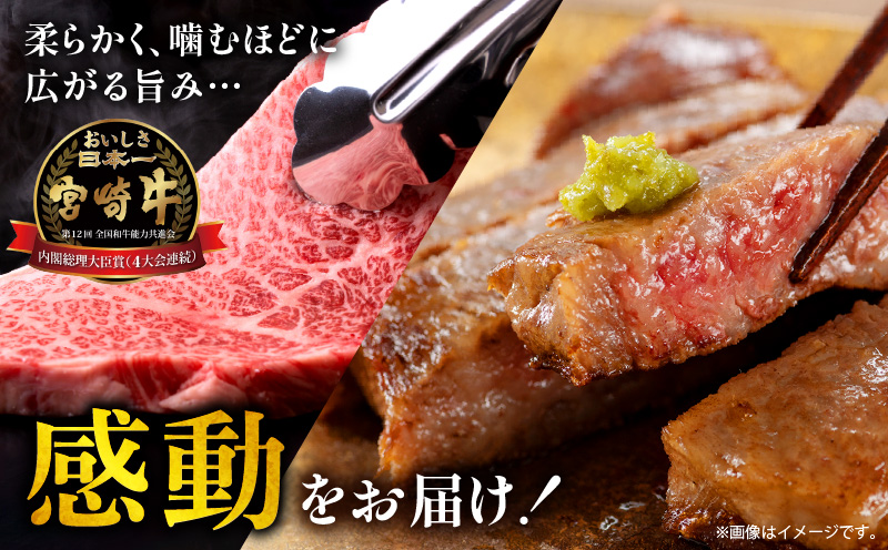 宮崎牛ロースステーキ500g 宮崎牛 サーロイン リブロース