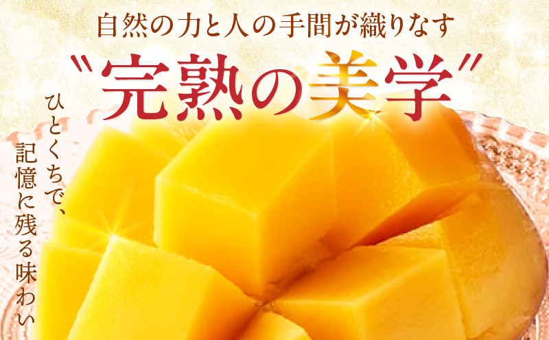 《2026年発送先行予約》【数量・期間限定】【自宅用(訳あり)】La Brilliant Mango(3L×4玉) マンゴー 完熟 漿果堂 cafe&grocery HITOKIWA