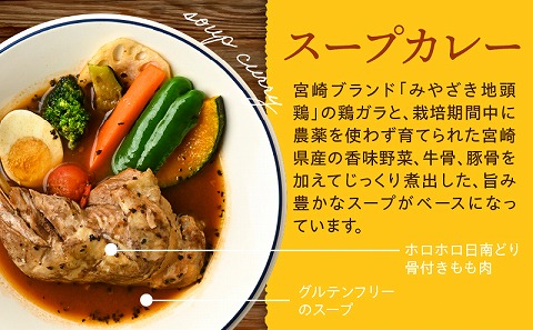 宮崎日南どり骨付きもものスープカレーセット