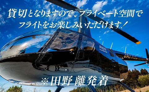 宮崎市ヘリコプター遊覧チケット（青島コース）　※田野離発着