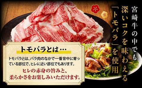 宮崎牛切落し1kg（500g×2パック）