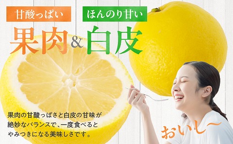 《2026年発送先行予約》【数量・期間限定】宮崎県産日向夏　2.5kg　化粧箱入り 日向夏 果物 フルーツ