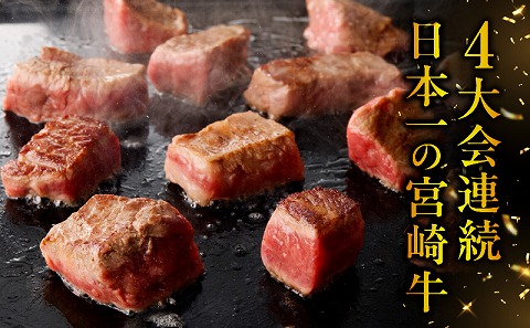 宮崎牛まかないヒレサイコロステーキ