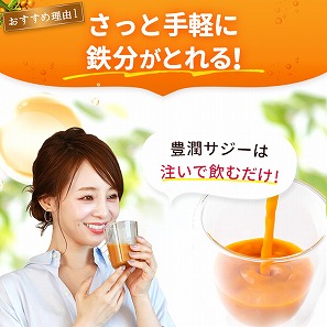 豊潤サジー 1000ml×2本セット サジージュース【紙パックタイプ】