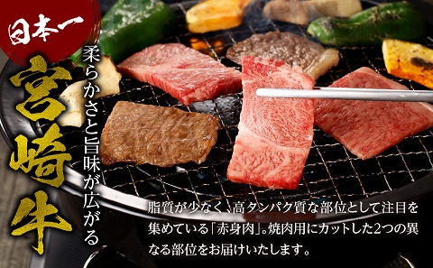 宮崎牛赤身霜降り焼肉　計800g