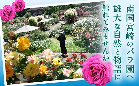 青島こどものくに　バラ園入場券5枚セット　オリジナルグッズ付き