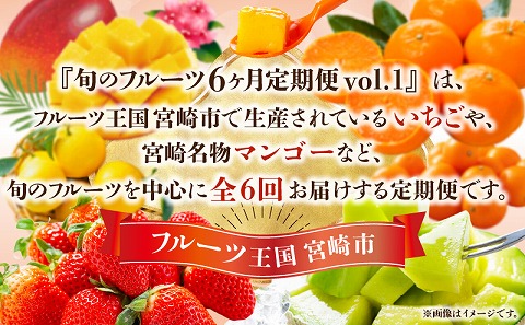《2026年発送先行予約》【期間・数量限定】旬のフルーツ6ヶ月定期便vol.1