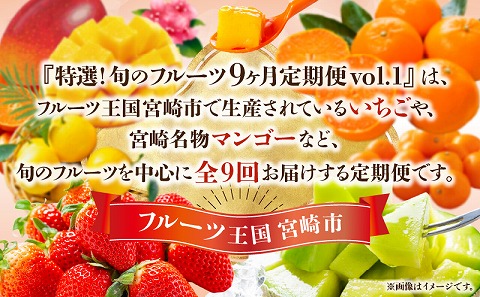 【期間・数量限定】特選！旬のフルーツ9ヶ月定期便vol.1