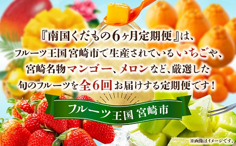 《2026年発送先行予約》南国くだもの6ヶ月定期便