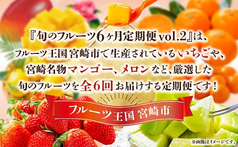 《2026年発送先行予約》【期間・数量限定】旬のフルーツ6ヶ月定期便vol.2