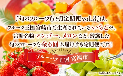 【期間・数量限定】旬のフルーツ6ヶ月定期便vol.3