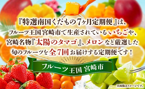 《2026年発送先行予約》特選南国くだもの7ヶ月定期便 フルーツ 定期便 果物 