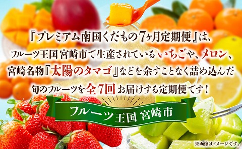 《2026年発送先行予約》プレミアム南国くだもの7ヶ月定期便 フルーツ 果物 定期便