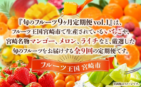 【期間・数量限定】旬のフルーツ9ヶ月定期便vol.1