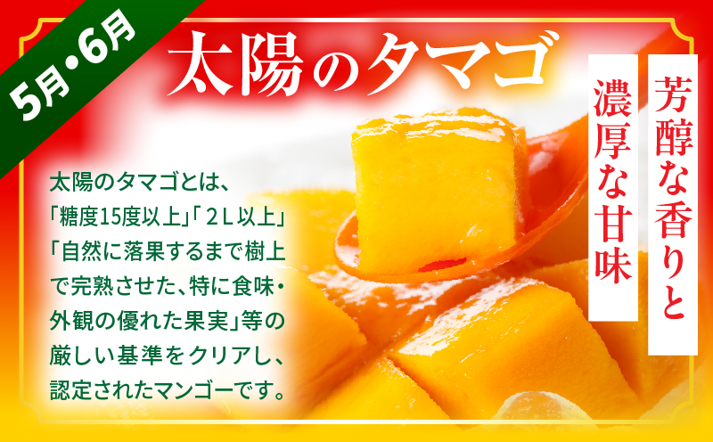 《2026年発送先行予約》【数量・期間限定】【全3回】太陽のタマゴ・ライチ定期便 マンゴー 宮崎マンゴー ライチ 定期便 果物定期便 果物 フルーツ定期便 フルーツ デザート