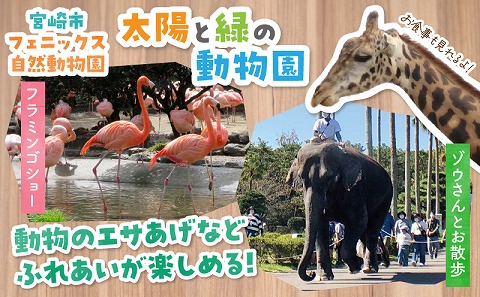 宮崎市フェニックス自然動物園＆フローランテ宮崎共通年間パスポート（小人）