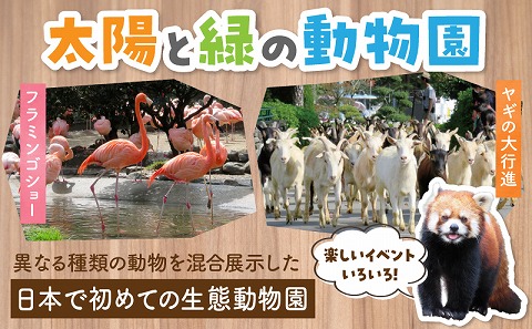 宮崎市フェニックス自然動物園年間パスポート（大人）