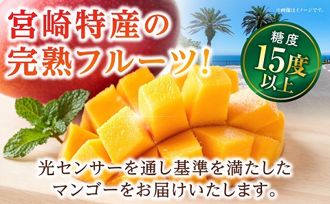 《2026年発送先行予約》【数量・期間限定】太陽のタマゴ 4Lサイズ 2玉