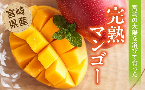 《2026年発送先行予約》【数量・期間限定】宮崎県産訳あり完熟マンゴー1.2kg(3～4玉) マンゴー フルーツ 果物