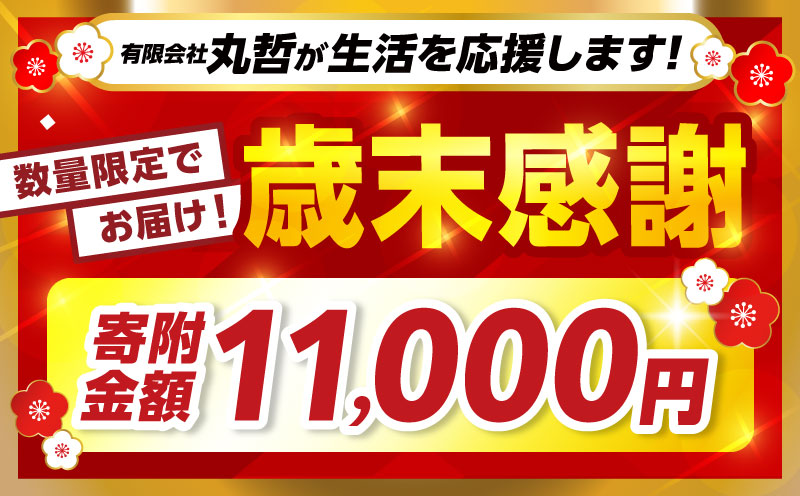 【歳末感謝】【数量・期間限定】アトランティックプリンスサーモン(プレミアム)500g サーモン プリンスサーモン アトランティックサーモン